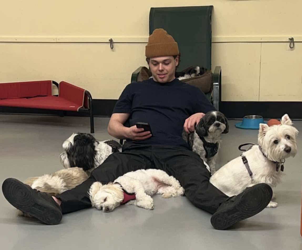 LDH Dawgs – Wags & Wellness