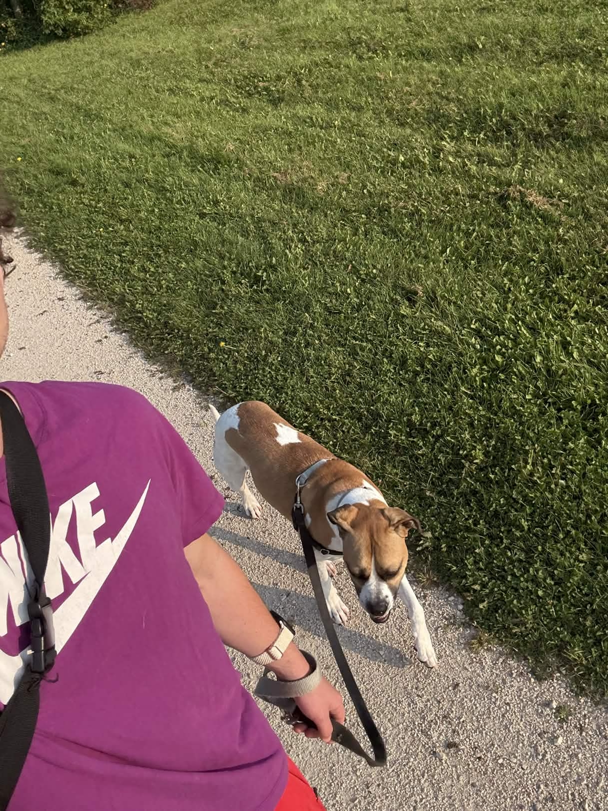 Oakley – Wags & Wellness